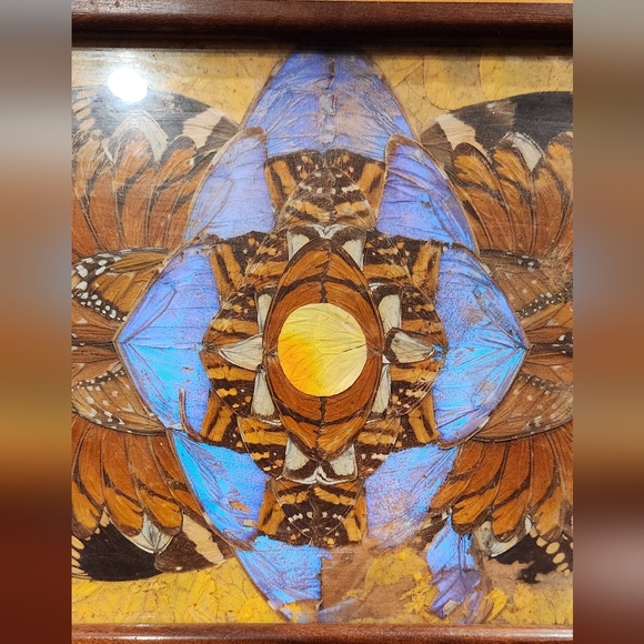 Vintage Inlaid Wood Tray with Butterfly Wings - Picture 8 of 16